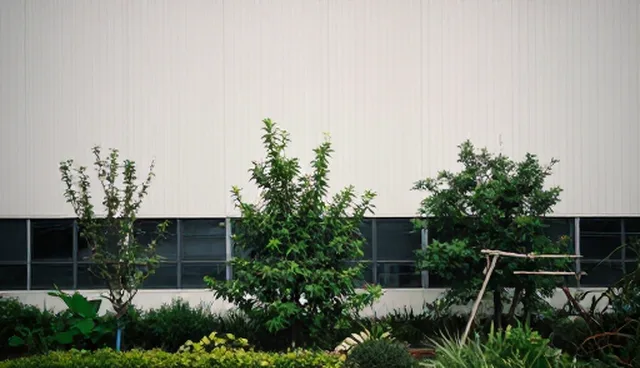 临床诊疗：基础体检套餐常见问题与处理方法